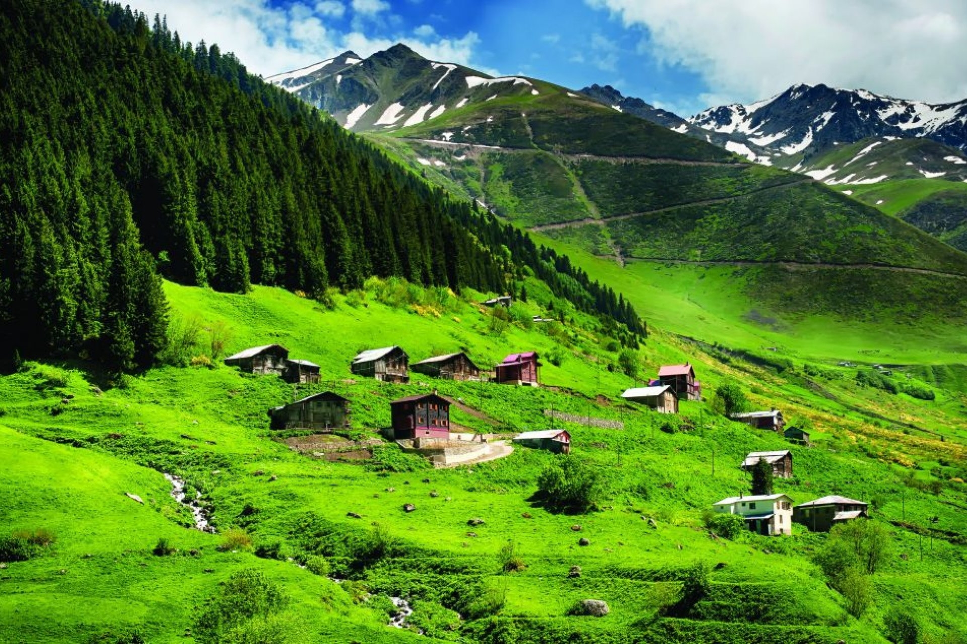 Karadeniz Bölgesi’nde Doğa Sporları: Yeşilin ve Mavinin Kucaklaştığı Cennette Macera