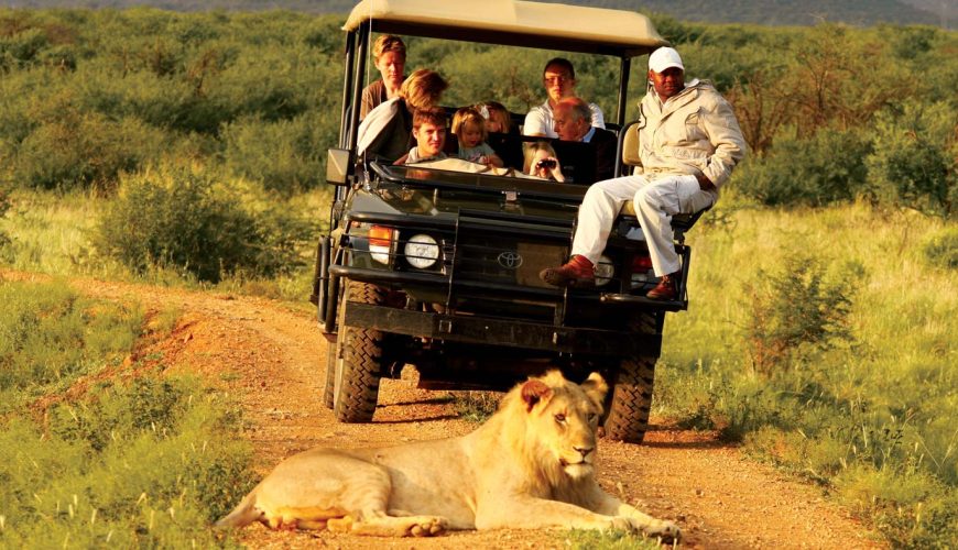 Dünya Üzerinde En İyi Safari Turları: Keşfedilmesi Gereken Yerler